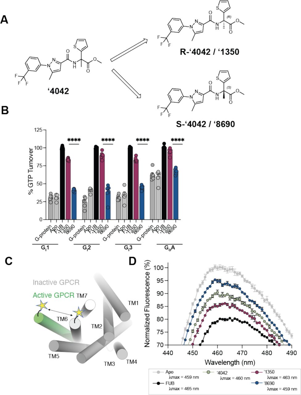 Additional pharmacological characterization of ‘4042 and its enantiomers. A. Chiral column purification led to the separation of two independent enantiomers, ’1350 and ‘8690. ‘1350 was determined to be R-’4042 from the Cryo-EM structure. B. GTPase Glo assay characterizing GTP turnover of G-proteins Gi1-3/o. C. Schematic of the environmentally sensitive fluorophore Monobromobimane (Bimane) which when site-specifically labeled (e.g. on TM6) acts as a conformational reporter. D. Compared to the apo (grey), the spectrum of full agonist MDMB-fubinaca (Fub)-bound CB1 (black) shows a decrease in intensity and a blue-shift in λmax (Apo 459 nm to Fub 465 nm). The bimane spectrum of ‘8690 (λmax 459 nm, blue) is more similar to apo and the spectrum of ‘1350 (λmax 463 nm, magenta) is closer to that of Fub. The spectrum of the racemate, ‘4042 (green) is between ’1350 (R-‘4042) and ‘8690 (S-‘4042). All data represent mean ± SEM of three independent experiments in triplicate.