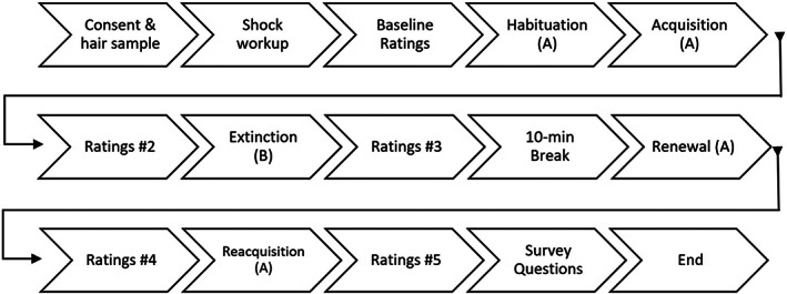 Experimental design. Habituation, acquisition, renewal and reacquisition are in Context A and extinction is in Context B.