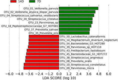 Linear Discriminant Analysis Effect Size (LEfSe) analysis showing those OTUs that were significantly differentially abundant between seven- and 14-day incubation times, ranked by effect size (all LDA scores >3.5).