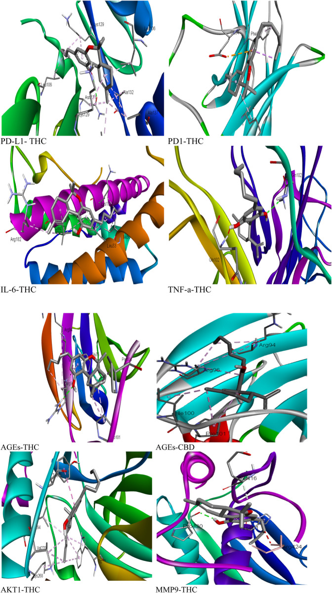 3D interactions of phytocompounds with the highest binding affinity for target proteins.
