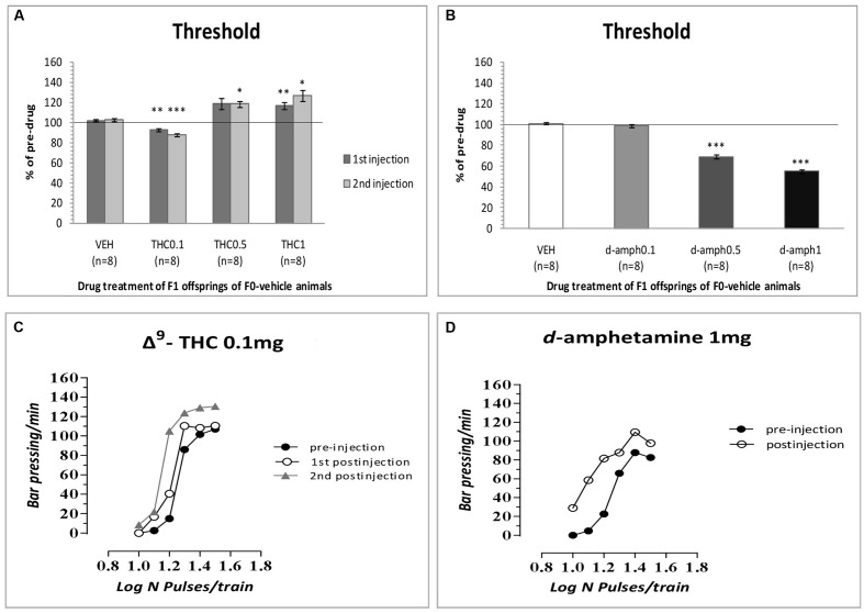 Changes in intracranial self-stimulation (ICSS) threshold expressed as percentage of predrug values, following Δ9-THC (0, 0.1, 0.5, and 1 mg/kg, i.p.) (A) and d-amphetamine (0, 0.1, 0.5, and 1 mg/kg, i.p.) (B) administration in F1 offspring of F0-vehicle animals. Vertical bars represent the means ± SEM. The asterisk (∗) signifies an ICSS threshold significantly different from the respective control group (vehicle), ∗p < 0.05, ∗∗p < 0.01, ∗∗∗p < 0.001. (C,D): Rate-frequency functions (rate of lever pressing as a function of stimulation frequency) taken from representative drug naïve animals (i.e., F1 of F0-VEH animals). Each plot represents data from a single animal under predrug and drug conditions (C: Δ9-THC0.1 mg/kg, D: d-amphetamine 1 mg/kg). Rate frequency functions were obtained by logarithmically decreasing the frequency of the stimulation pulses from a value that sustained maximal lever pressing to one that failed to sustain lever pressing. Both Δ9-THC and d-amphetamine caused parallel leftward shifts in the rate-frequency function.