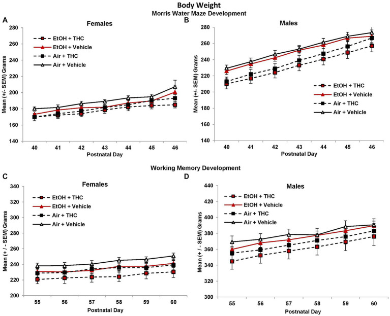 Offspring exposed to prenatal THC weighed less than those not exposed to prenatal THC throughout behavioral testing, although these effects became less pronounced with age [females (A,C); males (B,D)].