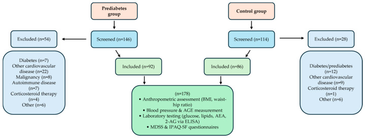 Flowchart of participant screening, inclusion, and assessment procedures for prediabetes and control groups.