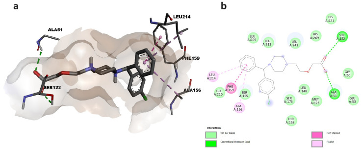 (a) Docked conformation of cetirizine and predicted interactions with MAGL; (b) predicted interactions represented in 2D diagram in which ligand-protein interactions are colored depending on their type: conventional hydrogen bonds in green, π-σ in purple, and π-alkyl interactions in light purple, respectively.