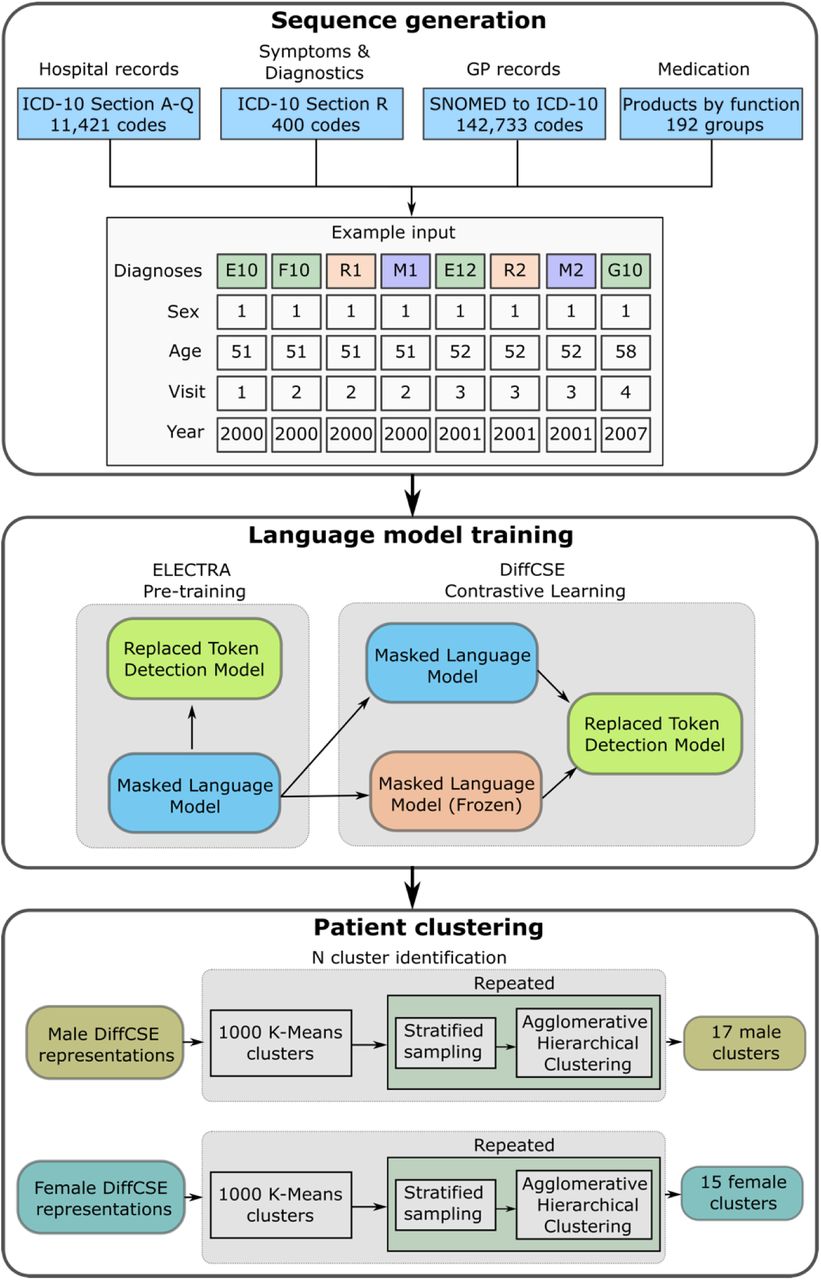 Study overview of training the large language model and generating patient clusters using EHRs