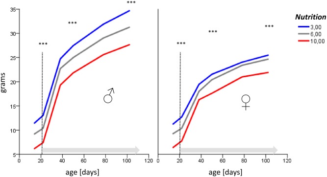Body weight in grams (y-axis) and age in days of postnatal development (x-axis), longitudinal data of a P100 cohort.Note that differences between the nutrition groups (3, 6, and 10 pups per mother, respectively) persisted after weaning and redistribution at P21 (dotted line), after which mice had free access to standard food.