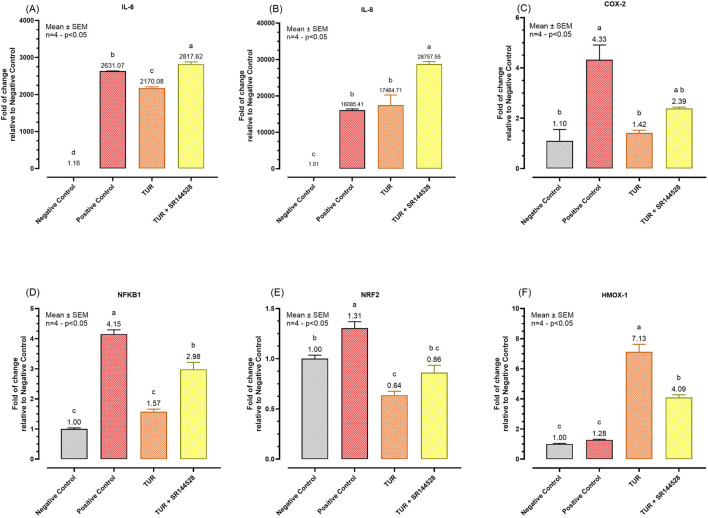 Gene expression of different inflammation markers. (A) IL-6 mRNA expression; (B) IL-8 mRNA expression; (C) COX-2 mRNA expression; (D) NFKB1 mRNA expression; (E) NRF2 mRNA expression; (F) HMOX-1 mRNA expression. The group designated to receive the antagonist was pre-treated with 1 μM of SR144528 for 10 min. Then TUR (Turmeric oleoresin) at 15 ppm was added, and SW-1353 cells were incubated for 2 h before the challenge. Subsequently, IL-1β and TNF-α both at 10 ng/mL (positive control) were introduced as an inflammatory stimulus for 24 h. Data are presented as mean ± SEM (n = 4) and represent the fold change relative to the negative control. Statistical analysis was performed using one-way ANOVA followed by Tukey’s multiple comparisons test (p < 0.05). Different letters indicate significant differences. IL = Interleukin; COX-2 = Cyclooxygenase-2; NRF2 = Nuclear factor erythroid 2-related factor 2; NFKB1 = Nuclear factor kappa B subunit 1; HMOX-1 = Heme oxygenase 1.