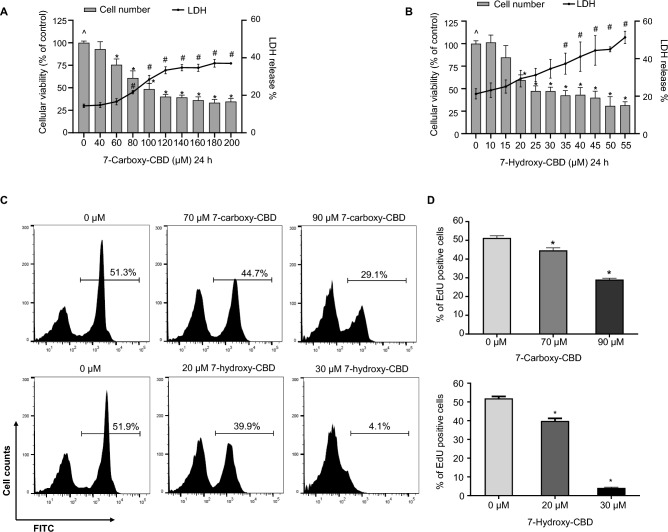 7-Carboxy-CBD and 7-hydroxy-CBD are cytotoxic to TM3 mouse Leydig cells. A and B TM3 cells were exposed to 40–200 µM 7-carboxy-CBD or 10–55 µM 7-hydroxy-CBD for 24 h. Live cell numbers and the release of LDH were measured. C Inhibition of DNA synthesis in TM3 cells by 7-carboxy-CBD and 7-hydroxy-CBD. TM3 cells were treated with DMSO (0 μM), 70 or 90 µM 7-carboxy-CBD, or 20 or 30 µM 7-hydroxy-CBD for 24 h. Representative histograms show the percentage of EdU incorporation in TM3 cells. D Bar graphs represent the average percentage of EdU-positive cells ± SD (n = 3). ^, significant concentration-dependent linear trend. *, p < 0.05 and significantly different from the DMSO control