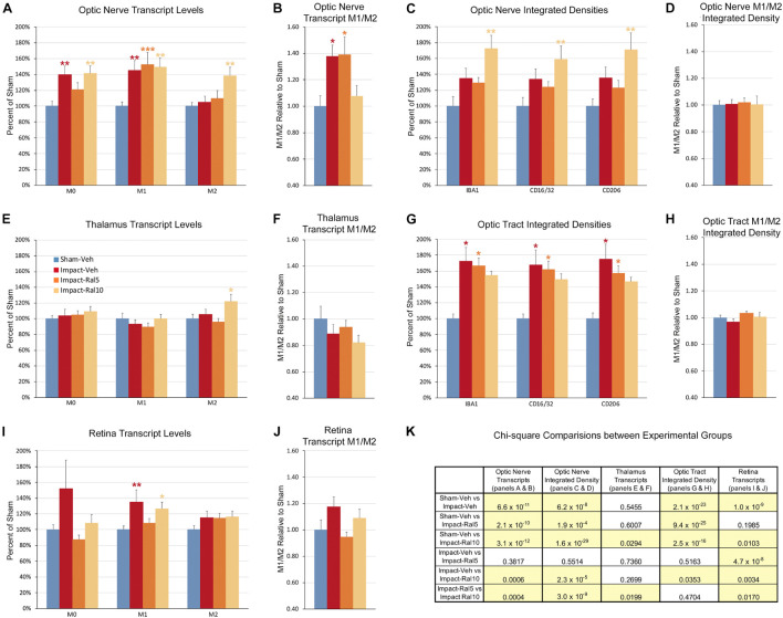 Expression of microglial markers 3 days after impact TBI. Levels of M0, M1, and M2 transcripts were determined by qPCR/NanoString for the optic nerve (A,B), thalamus (E,F), and retina (I,J). Histograms show average levels relative to sham mice or the M1/M2 ratio relative to sham. Multiple immunofluorescence was performed for IBA1, CD16/32, and CD206 on sections of optic nerve (C,D) and optic tract (G,H) and quantified by determining the integrated optical density for each marker in the region of interest. Histograms show the total integrated density relative to sham or the M1/M2 ratio relative to sham. Red, orange, and yellow asterisks indicate significant differences between the impact-vehicle mice, impact-ral5 mice, and impact-ral10 mice, respectively, compared to the sham-vehicle mice; *p < 0.05, **p < 0.01, ***p < 0.001. (K) Chi-square analysis of mean M0 transcript levels or IBA1 integrated optical density, mean M1 transcript levels or CD16/32 integrated optical density, and mean M2 transcript levels or CD206 integrated optical density, and the M1/M2 ratio was used to compare across experimental groups to determine how these four endpoints (M0 marker, M1 marker, M2 marker, and M1/M2 ratio) differed as a set for each of the tissues examined. Comparisons yielding p < 0.05 are highlighted in yellow.