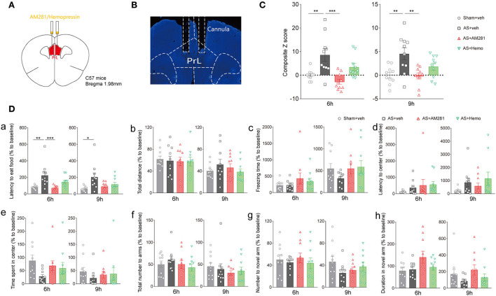 Blockade of CB1R in the PrL promoted the composite Z score. (A) Scheme of the drug administration. (B) The site of the cannula in the PrL. (C) The composite Z score at 6 h (left) and 9 h (right) after AS. (D) The latency to eat food in buried food test (a); the total distance (b), the freezing time (c), the latency to center (d), time spent in center (e) in the open field; the total number to arm (f), number to novel arm (g), duration in the novel arm (h) in Y maze at 6 h (left) and 9 h (right) after AS. Data are shown as mean ± SEM. N = 10. *P < 0.05, **P < 0.01, ***P < 0.001. ISO, isoflurane; AS, anesthesia and surgery; Hemo, hemopressin.