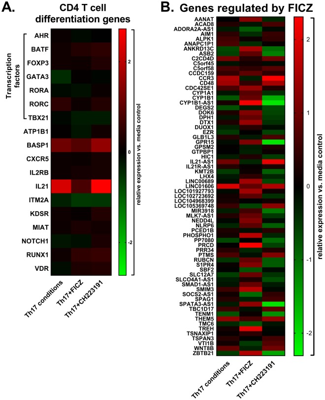 Early Th17 cell gene expression in the presence of AhR modulators. (A) Heat map of selected genes associated with CD4 T cell differentiation for each treatment relative to the media control. (B) Heat map of genes significantly regulated by FICZ compared to cultures containing Th17-inducing cytokines (Th17) without FICZ.