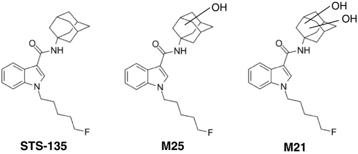 Structures of STS‐135 and its metabolites. Chemical structures of the third generation SCB STS‐135 and its main metabolites M25 and M21 are shown