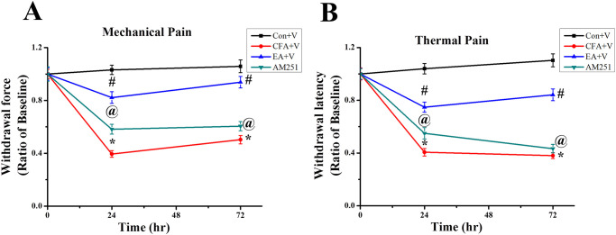 AM251 blocked pain relieving effects of EA on mechanical and thermal pain behaviors.(A) Mechanical and (B) thermal pain sensitivities are shown as ratios compared with the baseline of each group (n = 9). * p < .05 for means when compared with control+V group. p < .05 for means when compared with CFA+V group. @ p < .05 for means when compared with EA+V group.
