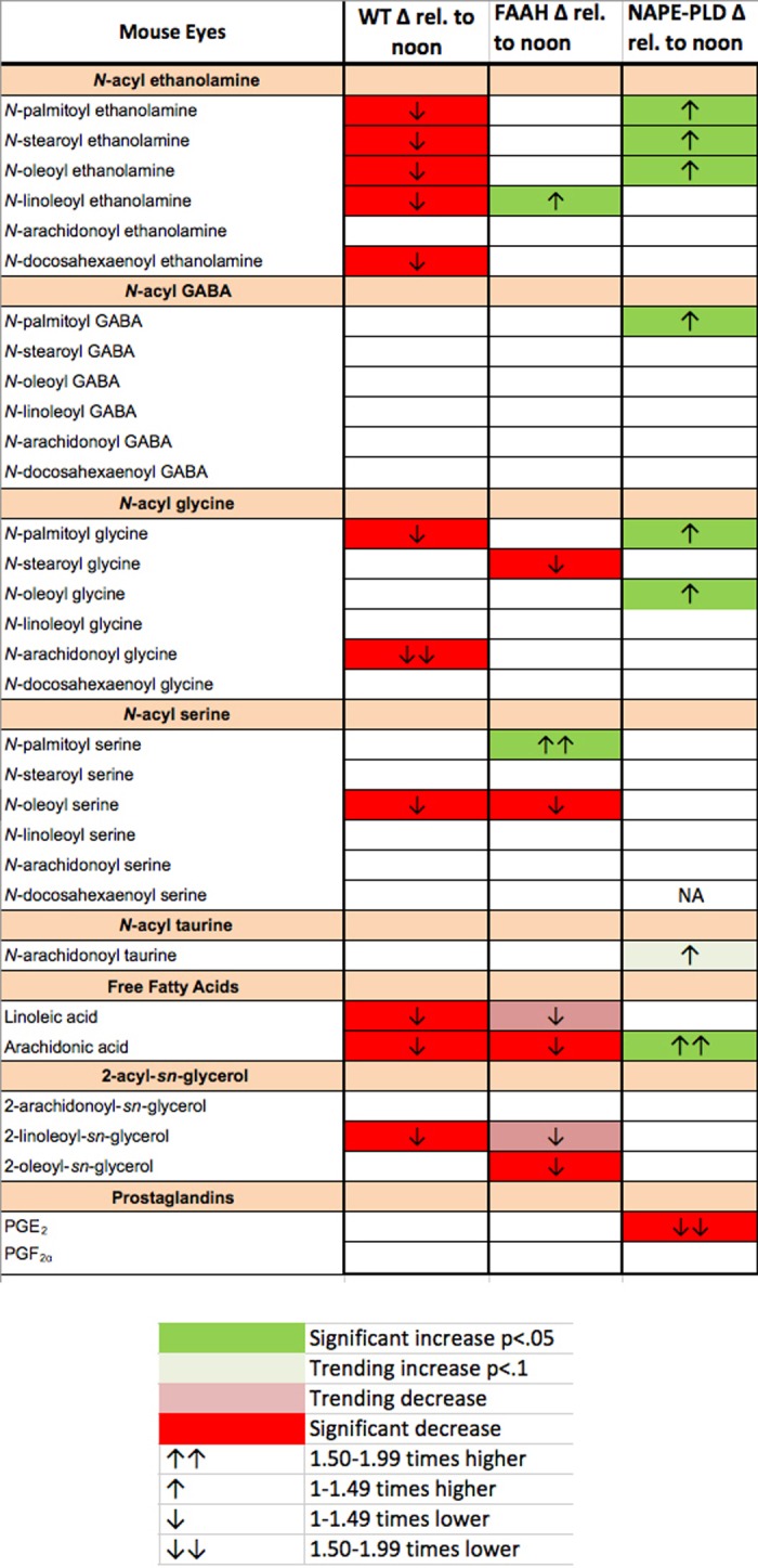Diurnal variation in cannabinoid-related lipid species in WT, FAAH−/−, and NAPE-PLD−/− eyes. Several cannabinoid-related lipid species declined at midnight relative to noon in mouse WT eyes including most NAEs, with the strongest decline in NAGly. The FAAH and NAPE-PLD knockout animals did not see the same changes.