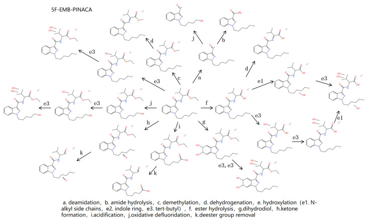 Metabolic response diagram of 5F-EMB-PINACA.