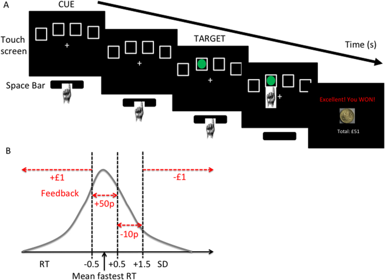 Premature responding task. (A) Task. Subjects press and hold down the space bar when they see four empty boxes (Cue) on the touch screen. After a green circle (Target) appears in one of the boxes, the subject releases the space bar and touches the box in which the target had appeared. The main outcome measure, premature responding, is measured as release of the space bar before target onset. (B) Feedback for the Test blocks is individualized on the basis of the mean fastest reaction time (RT) and SD obtained in the Baseline block.