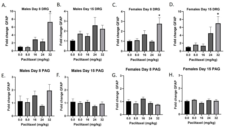 Paclitaxel increases expression of Gfap in DRG (A–D) but not PAG (E–H) in male and female C57Bl/6 mice. Mice are treated with vehicle or increasing doses of paclitaxel on Days 1, 3, 5, and 7 in a between-subjects design (n = 3–5/group). Mice are euthanized on Day 8 or 15 and tissues are harvested for RT-PCR analysis. One-way ANOVAs with Dunnett’s multiple comparison tests; * = p < 0.05 as compared with saline.