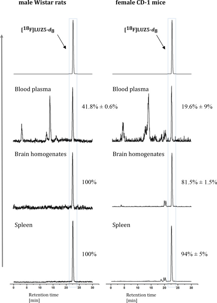 In vivo metabolism of [18F]LUZ5-d8. Representative radio-HPLC chromatograms of body fluids and organ samples of female CD-1 mice and male Wistar rats obtained at 30 min p.i. HPLC chromatograms of [18F]LUZ5-d8, followed by samples of blood plasma, brain, and spleen homogenates of rats and mice [extraction with MeOH/H2O (9:1), extraction yield of ≥94%]. HPLC conditions: Reprosil-Pur 120 C18-AQ (5 μm, 250 mm × 4.6 mm); gradient mode (10-90-10 CH3CN/20 mM NH4OAcaq, 1 mL/min). Numbers next to the main signal indicate the percentage of the intact tracer.