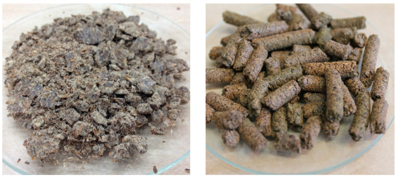 Seed cakes: (a) Milk thistle seed cakes are produced by seeds pressed through a hydraulic press; (b) hempseed cakes are formed by seeds extruded through a screw press.