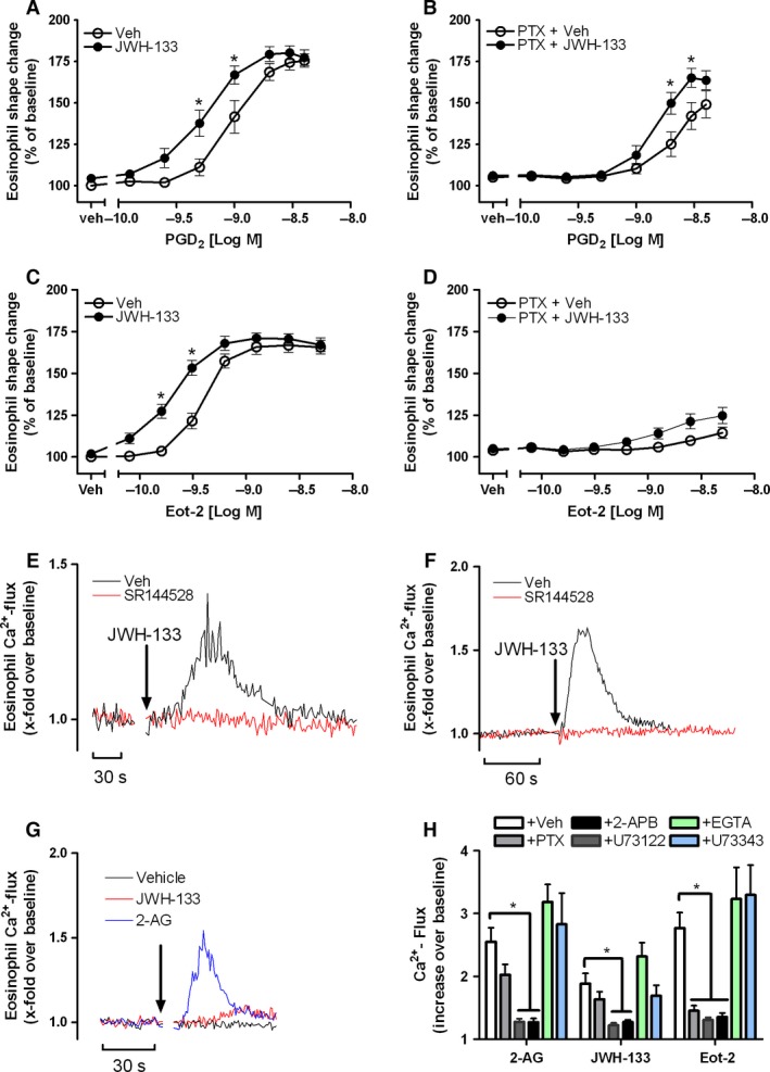 JWH‐133 modulates eosinophil function in a pertussis toxin (PTX)‐insensitive manner. Isolated human eosinophils were pretreated with vehicle (A and C) or PTX (5 μg/ml) (B and D) for 20 min at 37°C and exposed to JWH‐133 (100 nM) or vehicle for 5 min at room temperature. Shape change was stimulated for 4 min at 37°C with serial dilutions of PGD 2 (A and B) or eotaxin‐2/CCL24 (C and D). Isolated human (E) or mouse (F) eosinophils were loaded with Fluo3‐AM and incubated with 1 μM SR144528 or vehicle, mixed with 200 nM JWH‐133, and Ca2+ flux was measured by FACS. G: Ca2+ mobilization was elicited by 100 nM of JWH‐133 and 2‐AG. Data are shown as representative of 3–5 independent experiments. (H) Eosinophil were pretreated with 5 μg/ml PTX for 20 min, with 6 μM U‐73122 or its inactive form U73343, 50 μM 2‐APB, or vehicle, and Ca2+ flux was induced by 200 nM JWH, 200 nM 2‐AG, or 1 nM eotaxin‐2/CCL24. In some experiments, EGTA (3 mM) was added prior to stimulation. Data are shown as mean ± SEM, *P < 0.05, n = 5–10.