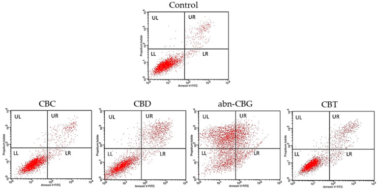Apoptosis/necrosis level after the incubation of CCD 841 CoTr normal cells with the cannabinoids at the 25 μg/mL concentration. Flow cytometry analysis after cell staining with annexin V-FITC and propidium iodide. Only representative dot plots are presented. An−/PI+ necrotic cells are located in the UL Quad, An+/PI+ late apoptotic cells in the UR Quad, An−/PI− viable cells in the LL Quad, and An+/PI− early apoptotic cells in the LR Quad.