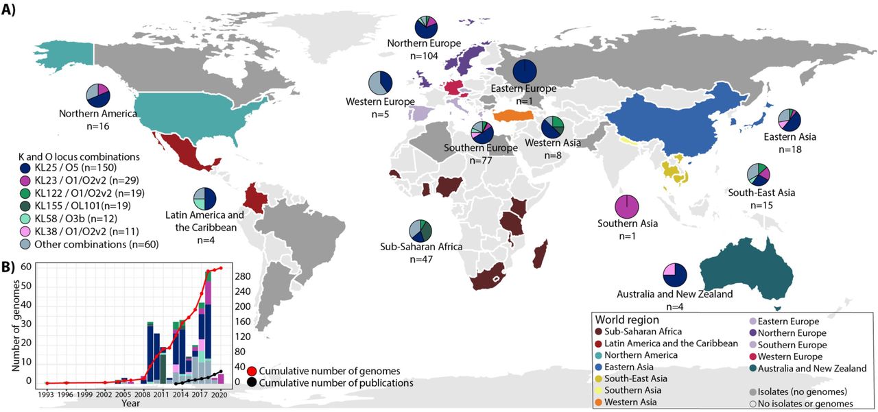 Geographical distribution of Klebsiella pneumoniae ST17 genomes, their K and O loci, and reports of ST17.A) World map highlighting countries of collection for ST17 genomes that were available for download (coloured by world region as in Figure 3) and countries with isolates reported but not included in the global dataset (coloured dark grey). The pie charts show the distribution of K and O loci per world region (n=number of genomes), highlighting loci with ≥10 genomes. B) Number of ST17 genomes by collection year (bars, coloured by KL/OL) and cumulative number (red line), and cumulative number of reports of ST17 in PubMed abstracts or titles (black line) as of November 2021.