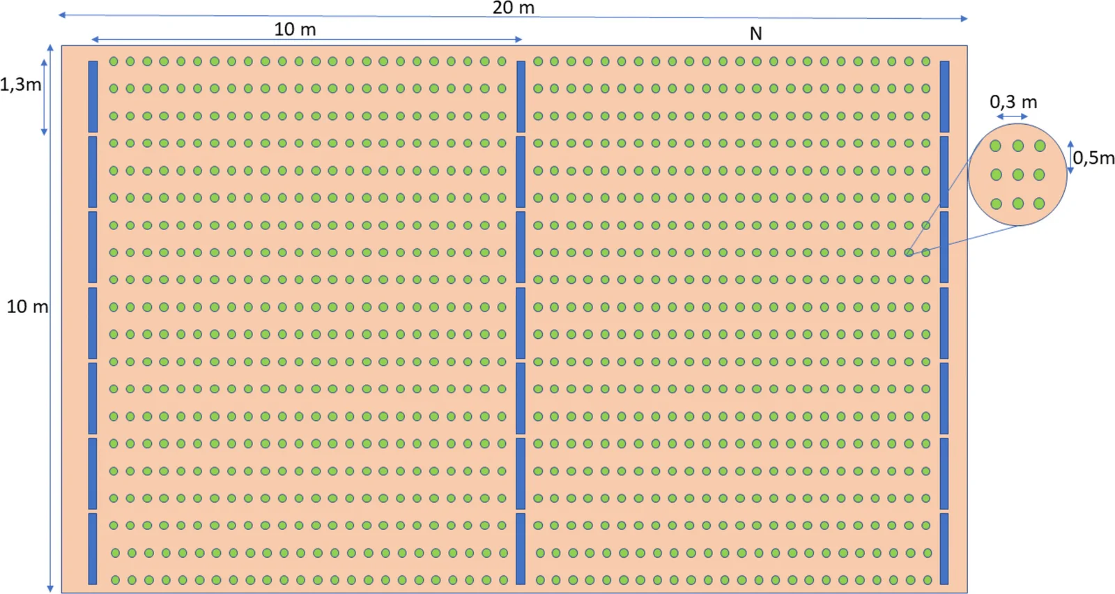 Layout of the proposed bifacial agrivoltaic system integrated with Chrysopogon zizanioides (L.) Roberty. The figure shows the spatial arrangement of the vertically mounted bifacial photovoltaic rows and the cultivated area within the simulated 1-hectare layout, including the adopted row spacing and panel orientation