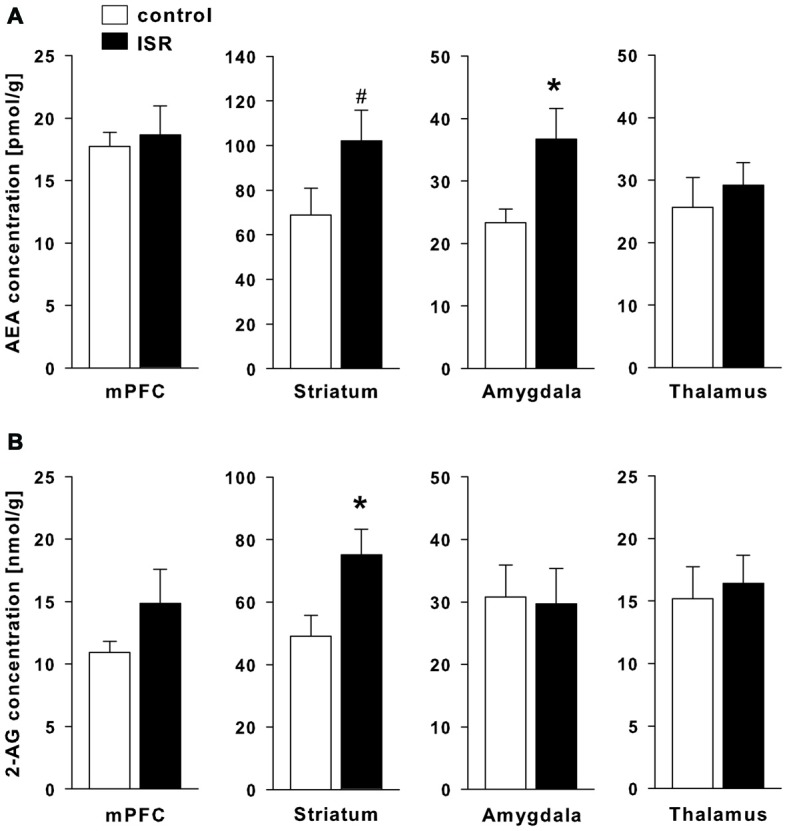 Endocannabinoid (eCB) levels in adult rats from the adequate (control) and the ISR condition. Levels of the eCB analysis of anandamide (AEA; A) were significantly increased in the amygdala and the striatum, while levels of 2-AG (B) were increased in the striatum of ISR animals as compared to controls. No further significant changes were observed for other brain regions tested (mPFC and thalamus). Data are indicated as means ± SEM (control/ISR: n = 10 each; *P ≤ 0.05, #P ≤ 0.1).