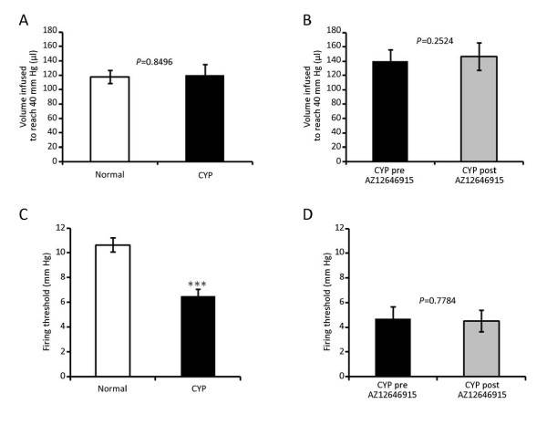 Effects of cyclophosphamide and AZ12646915 on the bladder compliance and firing threshold of the afferent fibers. A and B) Compliance of the bladder calculated as the volume infused to reach 40 mm Hg in normal (29 mice) and cyclophosphamide (CYP) (19 mice) pooled groups (A) and pre- versus post-administration of AZ12646915 in CYP mice (7 mice) (B). C and D) Firing threshold (mm Hg) of afferent fibers responding to bladder filling in normal (146 fibers, 52 mice) and CYP (63 fibers, 19 mice) pooled groups (C) and pre and post AZ12646915 in CYP mice (29 fibers, 7 mice). Results are mean ± SEM. Normal versus CYP analyzed with t-test (*** P < 0.001) (A and C). Pre- versus post-drug analyzed with paired t-test (B and D).