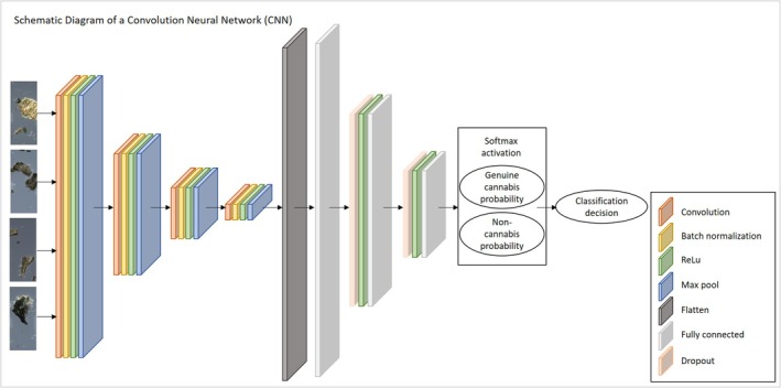 Architecture of the basic CNN model. The network is designed for binary classification and accepts as input color images of size 1024 × 428. It consists of four convolutional blocks, each comprising a convolutional layer, batch normalization, a ReLU activation, and max‐pooling for down‐sampling. The feature map sizes are progressively reduced across layers, starting with 16 channels and ending with 128 channels in the final block. The output of the last pooling layer is flattened and passed through a fully connected module with two intermediate layers. Each fully connected layer is followed by a dropout for regularization and a ReLU activation. The final layer is a fully connected output layer with two neurons corresponding to the binary classification task.