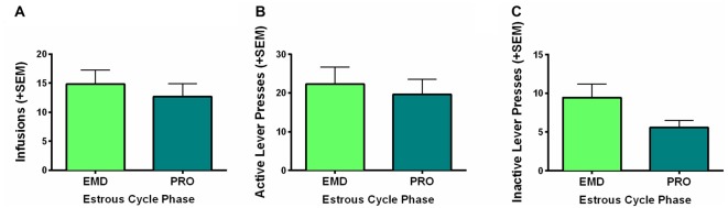 Role of estrous cycle phase on WIN self-administration. Behaviors during the high estradiol phase of proestrus (PRO) were compared to behavior during the low estradiol phases of estrus, metestrus and diestrus (EMD). No significant differences were identified for (A) infusions earned, (B) active lever presses, or (C) inactive lever presses.