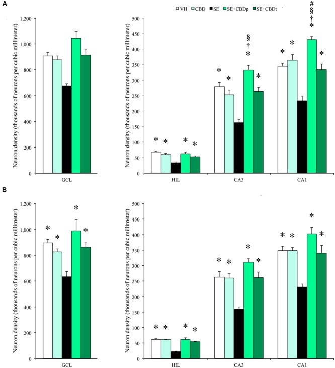 Cannabidiol effects on hippocampal neuronal survival, 1 day after SE. Neuronal density, estimated in contralateral (A) and ipsilateral (B) hippocampal sections from VH (white bars), CBD (light green bars), SE (black bars), SE+CBDp (medium green bars), and SE+CBDt (dark green bars) groups. All groups had higher neuron density than SE group in the hilus, CA3, and CA1 subfields of contralateral (A) and ipsilateral (B) hippocampus (ANOVA followed by Sidak post hoc test). In the contralateral hippocampus, SE+CBDp group had higher neuron density than CBD and SE+CBDt in CA3 and CA1. SE+CBDp had also higher neuron density than VH group in the contralateral CA1 subfield. The groups VH, CBD, SE+CBDp, and SE+CBDt had also higher neuron density than SE group in the ipsilateral granule cell layer. GCL, granule cell layer; HIL, hilus. The ∗ indicates differences from SE group, the † indicates difference from SE+CBDt group, the § indicates difference from CBD group, and the # indicates difference from VH group. Data were presented as mean ± standard error.