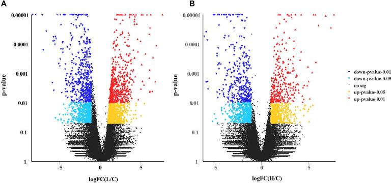 Transcriptional profiles of different expressed genes between two pair-wise comparisons in the hepatopancreas of crab revealed by Volcano plots. (A) L vs Control group. (B) H vs Control group. For volcano plots, the X-axis represents log (fold change), and the Y-axis is p-value. The differently expressed genes are shown as mazarine (down, p-value < 0.01), sky blue (down, p-value < 0.05), red (up, p-value < 0.01), and yellow (up, p-value < 0.05).
