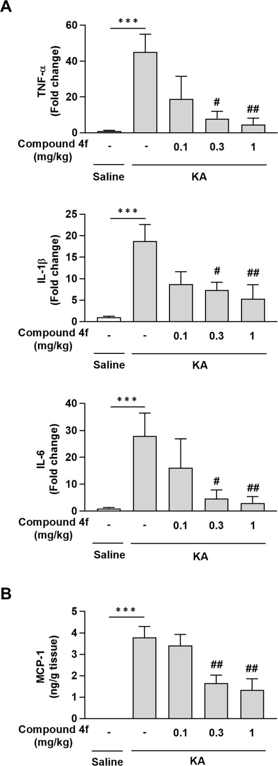 Effects of compound 4f on neuroinflammation in mice with KA-induced neurodegeneration.(A) Effects of compound 4f on the gene expression levels of tumor necrosis factor (TNF)-α, interleukin (IL)-1β, and IL-6 in the hippocampi of KA-treated mice. Mean ± standard error of the mean (SEM; n = 4 saline-injected mice; n = 8 KA-injected mice). ***P ≤ 0.001, compared to saline-injected mice (Student’s t-test). #P ≤ 0.01, ##P ≤ 0.001 compared to KA-injected mice treated with vehicle (Williams’ test). (B) Effects of compound 4f on the expression levels of the monocyte chemotactic protein 1 (MCP-1) in the hippocampi of KA-treated mice. Results are presented as the mean ± SEM (n = 4 saline-injected mice; n = 8 KA-injected mice). ***P ≤ 0.001 compared to saline-injected mice (Aspin–Welch test). ##P ≤ 0.001 compared to KA-injected mice treated with vehicle (Williams’ test). IL, interleukin; KA, kainic acid; MCP-1, monocyte chemotactic protein-1; SEM, standard error of the mean; TNF, tumor necrosis factor.