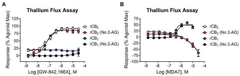 The CB2 agonists GW-842,166X and MDA7 exhibit distinctions in pharmacological activity in rCB2 thallium flux assays. Concentration–response curves in thallium flux assays are shown for GW-842,166X (A) and MDA7 (B). Results are presented for rCB2 in the presence (white) or absence (red) of a sub-maximal (EC20) concentration of agonist. Results are presented for rCB1 in the presence (blue) or absence (black) of a sub-maximal (EC20) concentration of agonist. Data represent the mean ± SEM of three independent experiments run in duplicate or triplicate. Data are plotted as a percentage of the maximal 2-AG response.