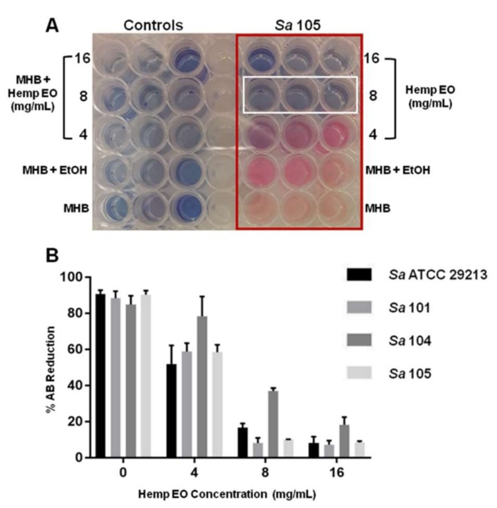 The evaluation of minimum inhibitory concentration (MIC) of the hemp EO versus Staphylococcus aureus determined using the alamarBlue® (AB) assay. (A) Representative image of colorimetric MIC determination using AB at 24 h of incubation. The white rectangle indicates the MICs at 8 mg/mL S. aureus 101. (B) The plot shows the percentage reduction of AB in the S. aureus broth cultures at different hemp EO concentrations compared to the corresponding untreated samples (0) evaluated as indicated in the experimental section of this manuscript. MHB: Mueller–Hinton broth; EtOH: ethanol. Data are presented as the mean of three replicates of three independent experiments.