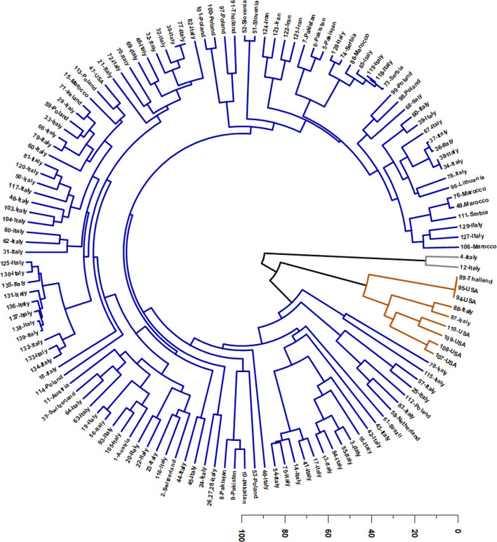 Hierarchical Cluster Analysis (HCA) of Cannabis volatile-oil samples based on the relative abundance of 35 major terpenoids (≥ 5% in at least one sample). The circular dendrogram resolves three well-separated chemotypic clusters (color-coded): (i) an oxidized sesquiterpene profile dominated by caryophyllene oxide and caryophylla-4(14),8(15)-dien-5-ol (grey); (ii) a monoterpene-rich profile characterized by very high myrcene (orange); and (iii) a major sesquiterpene-hydrocarbon profile dominated by E-β-caryophyllene and α-humulene, with variable contributions of α-pinene, myrcene, and minor oxidized sesquiterpenes, forming structured subclusters along gradients of monoterpene enrichment and sesquiterpene oxidation (blue). Sample identities and detailed compositions are provided in Supplementary Table SS1