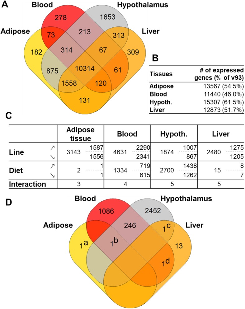 Overview of gene expression and differential expression between diets in the adipose tissue, blood, hypothalamus and liver. a Venn diagram of the genes expressed and shared in the four tissues. b Total number of genes expressed in each tissue; between brackets, percentage of v87 annotation (24,881 genes). c Differentially expressed genes (DEG) in each tissue (columns) and each factors, Line, Diet and Interaction (rows). The total number of DEG (left) and the details of the number of up- (↗) and down-expressed genes (↘) in LE diet (or R+ line) compared to CT (to R- line) are indicated. Hypoth.: Hypothalamus. d Venn diagram of the DEG between diets in the four tissues. Single genes in the diagram are: (a) ENSGALG00000002503 (SFTPA2) (b) ENSGALG00000031497 (no HGNC), (c) ENSGALG00000026507 (FDX1) and (d) ENSGALG00000006099 (ZFPM1)
