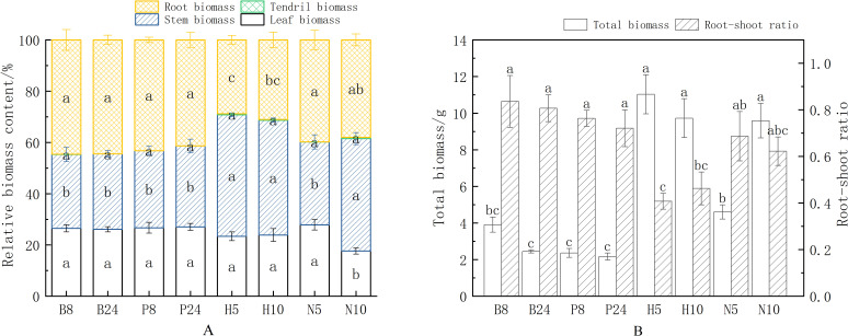 Biomass allocation and accumulation of Mansoa alliacea under different support types. (A) Biomass allocation percentages of leaves, stems, roots, and tendrils in Mansoa alliacea biomass. Different lowercase letters indicate significant differences in the biomass ratios of the same organ at P < 0.05. (B) Total biomass and root-to-shoot ratio of Mansoa alliacea. Different lowercase letters in the same row indicate significant differences between treatments at P < 0.05.