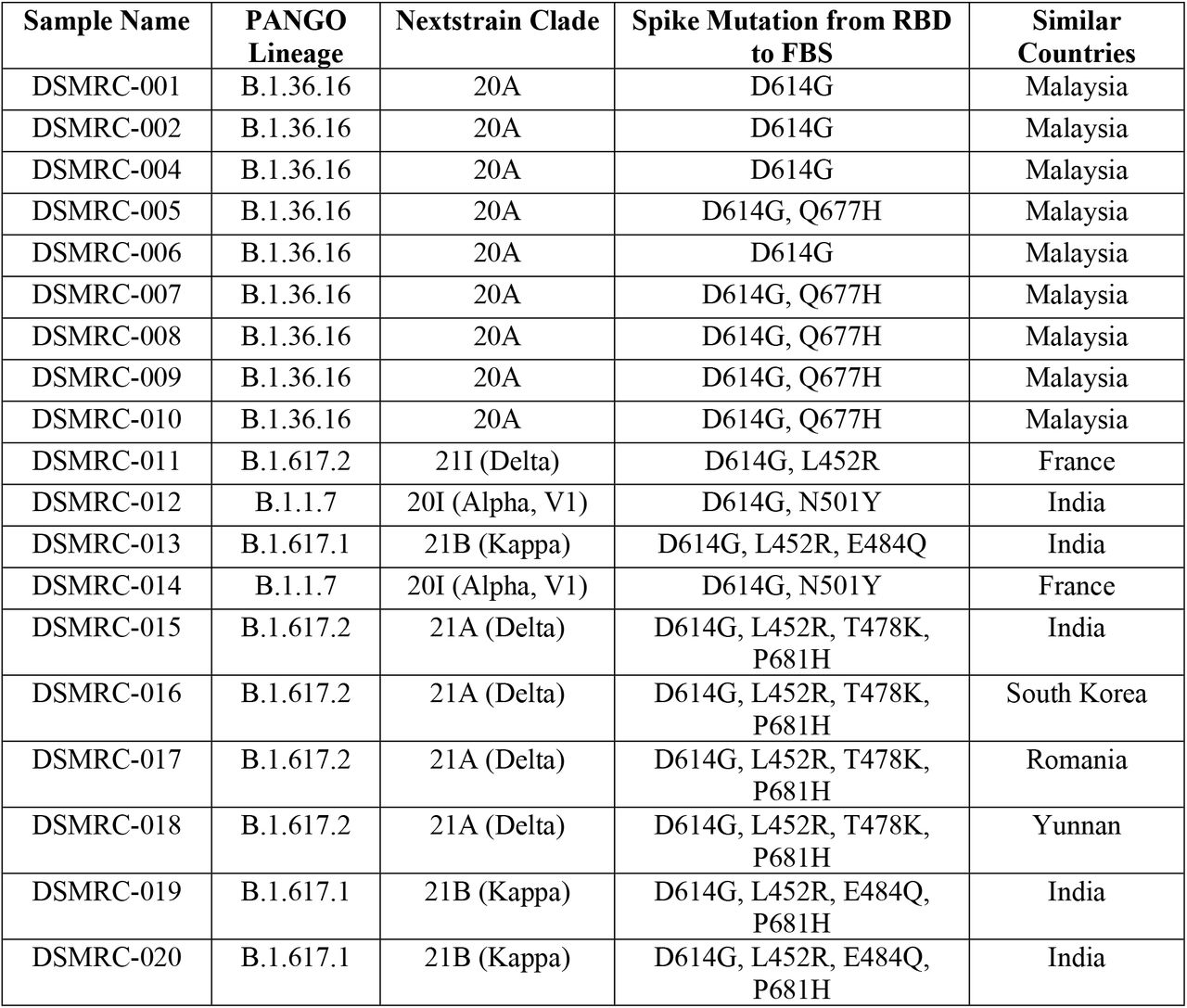 PANGO Lineage, Clade, Variant, Spike protein mutations of First and Second Run (During the Second Wave)
