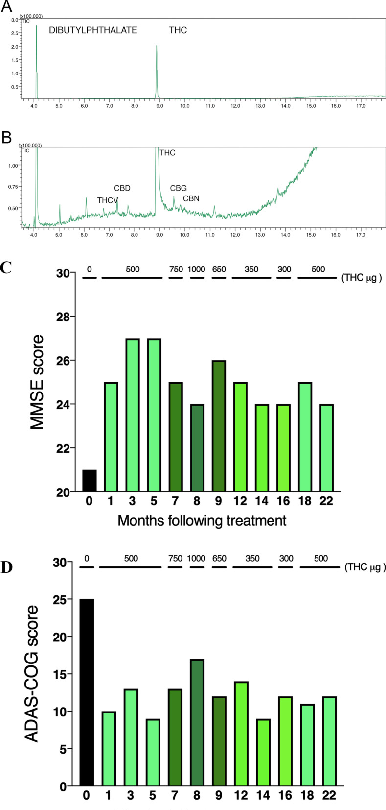 Chemical analyses of the THC-rich cannabis extract and patient’s clinical cognitive evaluation timeline. A The extract analyzed has a higher prevalence of THC (8.7 ± 0.5% m/m) and lower concentration (0.75 ± 0.15%) of CBD. B A lower prevalence of other phytocannabinoids was detected. C, D Scores according to the Alzheimer’s Mini-Mental State Examination (MMSE) (C) and the Alzheimer’s Disease Assessment Scale-Cognitive (ADAS-Cog) scale (D). Bars represent different THC microdosages (µg). Dose distribution was the following: 500 µg for the initial 150 days of treatment, 750 µg for the following 60 days, 1000 µg for the next 30 days, 650 µg during the next 30 days, 350 µg for the following 60 days, 300 µg THC for 30 days, and 500 µg for the last 60 days of treatment. T0 (black bar), baseline assessment before the start of experimental treatment; T1 to T22 (bars colored in shades of green), treatment with cannabinoid extract, in which shades correspond to doses of THC, from lighter (lowest dose) to darker (highest dose)