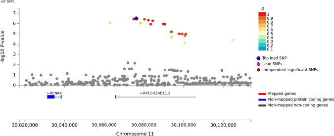 Association of stimulant dependence with SNPs located in the KCNA4 region in the African American discovery sample.SNPs are color-coded according to the correlation coefficient (r2) in the 1000 Genomes African reference panel with the top-ranked SNP, rs11500237 located 93 kb upstream of KCNA4. Rs11500237 was nearly genome-wide significant (P = 2.99 × 10−7) after meta-analysis with the replication sample.