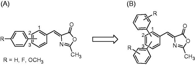 Structural evolution of methyleneoxazol-5(4H)-one scaffold: previously developed biphenyl 2-methyloxazol-5(4H)-one compounds (A) and newly synthesised terphenyl-2-methyloxazol-5(4H)-one derivatives (B).