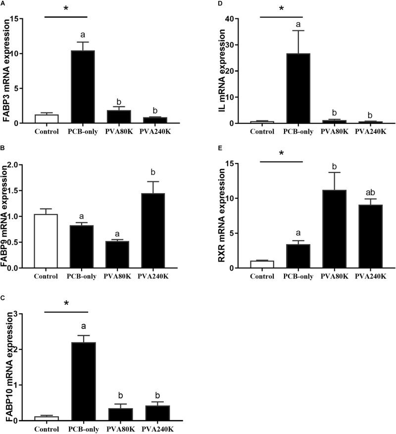 Effects of the vitamin A on the Aroclor 1254-mediated mRNA relative expression of lipid metabolism related genes: fatty acid binding proteins (FABP3) (A), (FABP9) (B), (FABP10) (C), Intracellular lipolytic enzyme (IL) (D), and retinoid X receptor (RXR) from three individuals (n = 3) (E); blank bar (diet without PCB), dark bar (diets with PCB). ∗p < 0.05. Data shown as means ± SEM.