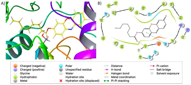 (A) Docking poses of compound 1c into the MAGL binding site. MAGL is shown in ribbon representation; tested compound and Ser122 are shown in stick representation and hydrogens are hidden. (B) Ligand interaction diagram of compound 1c into the MAGL binding site.