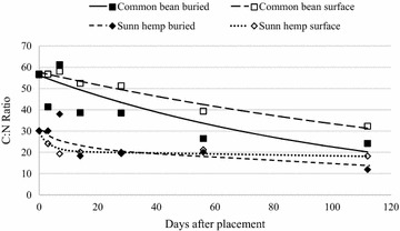 Buried and surface common bean and sunn hemp residue C:N ratio over 112 days