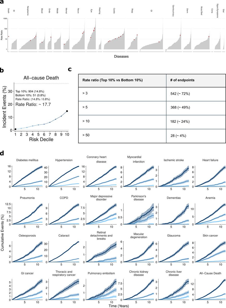 Retinal information stratifies phenome-wide incident disease onseta) Ratio of incident events in the Top 10% compared with the Bottom 10% of the estimated risk estimates. Red dots indicate the selected endpoints displayed in Fig 2d. b) To illustrate, 904 (14.8%) individuals in the top risk decile for all-cause death experienced an event compared with only 51 (1%) in the bottom decile, with a rate ratio of 17.7. c) Overview of the number of endpoints surpassing a given rate ratio. d) Cumulative event rates for a selection of 24 endpoints for the Top 10%, median, and Bottom 10% of risk percentiles over 15 years. Statistical measures were derived from 61,256 individuals. Individuals with prevalent diseases were excluded from the endpoints-specific analysis.