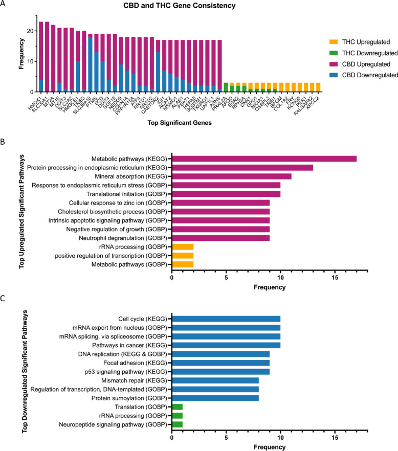 Meta-analysis reveals highly represented gene and pathway perturbations across cannabinoid exposure signatures. A Recurrent genes that were detected as DEGs across CBD and THC exposure datasets are plotted on this bar graph. CBD tended to induce more DEGs and thus has recurrent genes that appear more often across datasets. THC had more variable gene perturbation effects and thus fewer genes were identified across multiple studies. Numbers of studies in which the genes appear as up- or downregulated DEGs are shown in each bar according to the color legend. B-C Recurrent pathways that were detected based on the enrichment analysis of the DEGs for CBD (B) and THC (C). The bars are colored based on whether the pathway was up- or downregulated according to the color legend, and the length of the bars indicates the number of exposure datasets in which the pathway was significantly enriched
