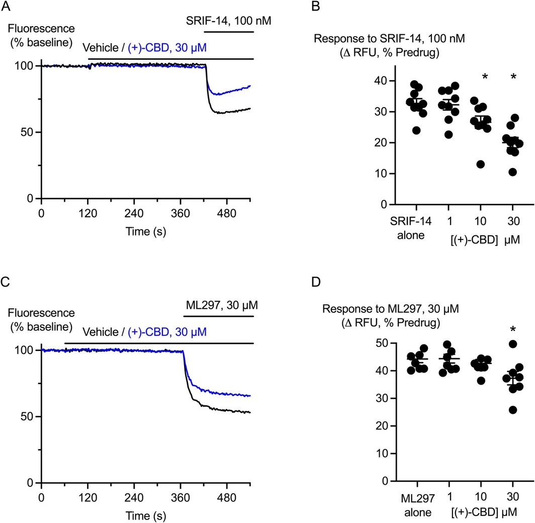 (+)‐CBD is a low potency inhibitor of somatostatin receptors and GIRK channels. AtT20‐WT cells (expressing neither CB1 nor CB2 receptors) were preincubated with (+)‐CBD for 5 min and challenged with SRIF‐14 (100 nM) or the GIRK activator ML297 (30 μM). (A) Example traces showing that (+)‐CBD (30 μM) did not change the membrane potential of AtT20‐EV cells, but inhibited their hyperpolarization by SRIF‐14. (B) A summary plot of the effects of (+)‐CBD on the responses to SRIF‐14 (100 nM), (+)‐CBD (10 μM, 30 μM) significantly (*) inhibited the responses (one‐way ANOVA, p < 0.0001, followed by Dunnett's test for multiple comparisons, n = 8). (C) Example traces showing that (+)‐CBD (30 μM) inhibited the hyperpolarization of AtT20‐WT cells by ML297. (D) A summary plot of the effects of (+)‐CBD on the responses to ML297 (30 μM), (+)‐CBD (30 μM) significantly (*) inhibited the responses (one‐way ANOVA, p = 0.0253, followed by Dunnett's test for multiple comparisons, n = 8).