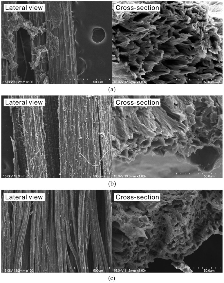 SEM images of natural fibers: (a) abaca; (b) hemp; (c) jute.